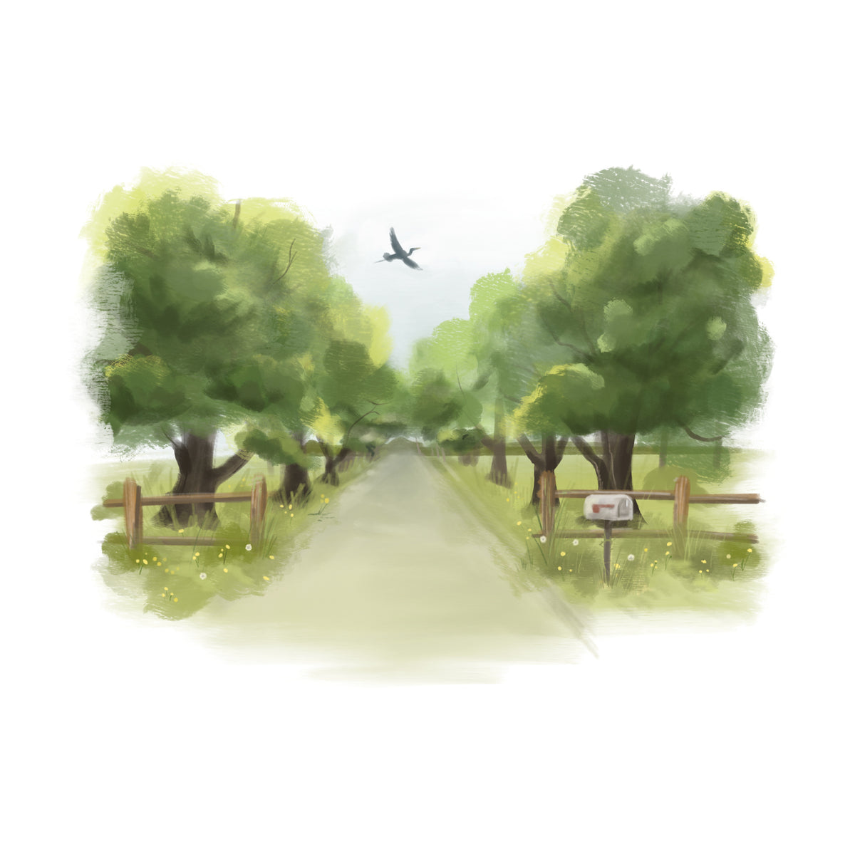 A sunday drive, tree lined road, salt air and marsh scented candles, easter shore inspirations, candles made in Maryland, fresh air, scents of the chesapeake bay